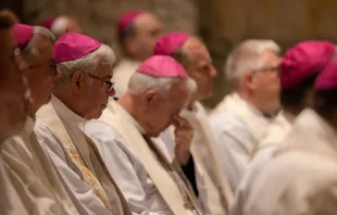 German Bishops at Mass in the Papal Basilica of St. Paul outside the Walls during their visit in Rome, Nov. 17, 2022 Daniel Ibáñez / CNA