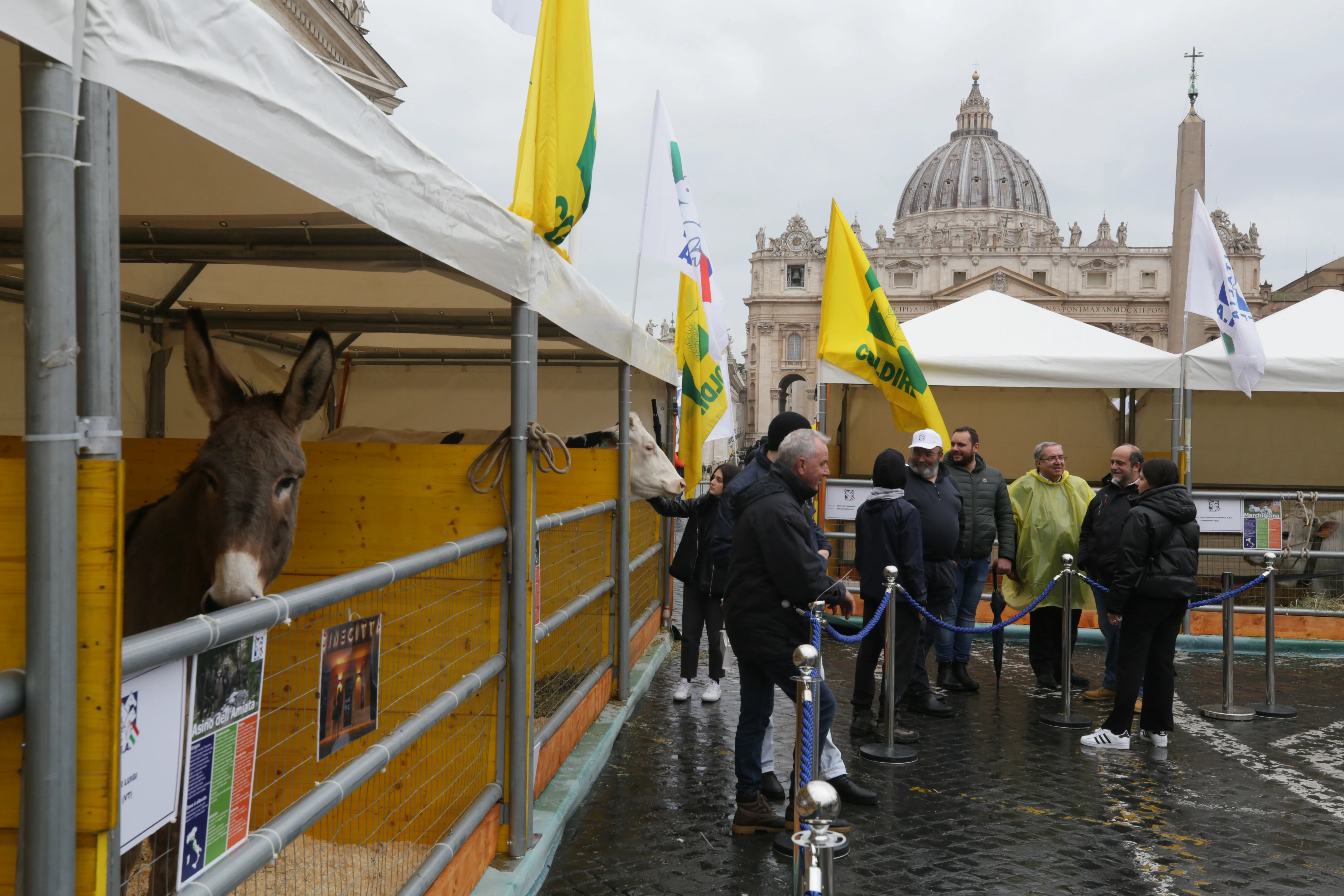 Farmers and pet owners alike brought out their beloved animals to the Vatican for a special blessing on the feast of St. Anthony Abbot, Jan. 17, 2023. Credit: Alan Koppschall/EWTN