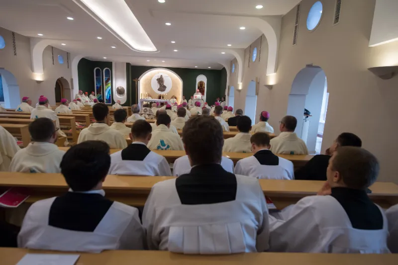 Number of new Catholic seminarians in Poland falls by nearly 20% year on year