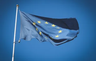 Flag of the European Union Alexey Larionov / Unsplash (CC0)
