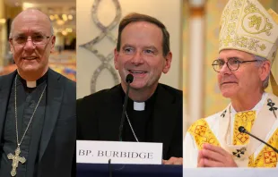 Bishops Kevin Rhoades of Fort Wayne-South Bend (left), Michael Burbidge of Arlington (center), and Paul Coakley of Oklahoma City (right) Credit: Shannon Mullen/CNA, Kate Veik/CNA, and Archdiocese of Oklahoma City
