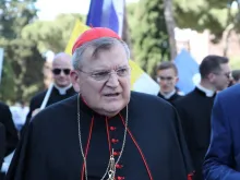 Cardinal Raymond Leo Burke at the March for Life in Rome, Italy, May 10, 2015.