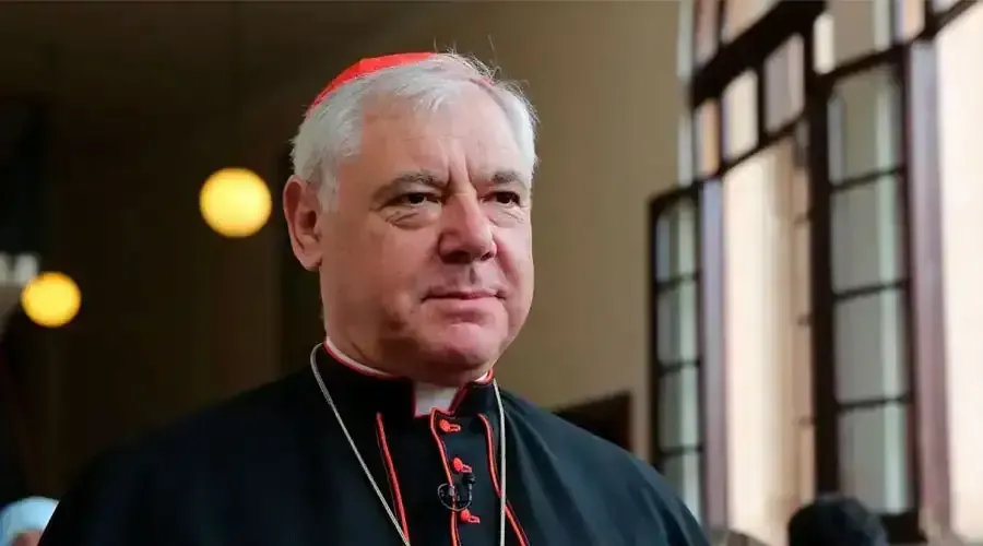 Cardinal Gerhard Müller?w=200&h=150