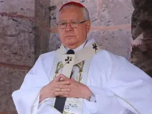 Cardinal José Francisco Robles Ortega of Guadalajara