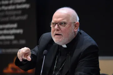 Cardinal Reinhard Marx, pictured in June 2016