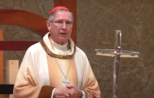 Cardinal Roger Mahony. Screenshot YouTube channel for the Cathedral of Our Lady of the Angels