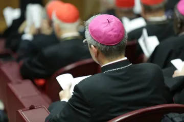 Cardinals and bishops in the Vatican’s Synod Hall, Oct. 14, 2015