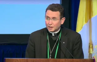 Bishop-designate Andrew H. Cozzens of Crookston, Minn., speaks to the general assembly of the United States Conference of Catholic Bishops on Nov. 17, 2021, in Baltimore. Screenshot from USCCB video