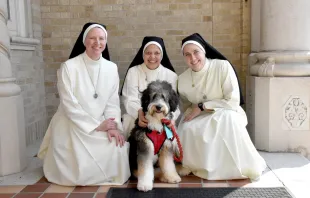 Gia, an 8-month-old Bernedoodle, visits Sacred Heart of Jesus School in Baton Rouge twice a week with a group of Mercedarian Sisters of the Blessed Sacrament. Wendy Milam