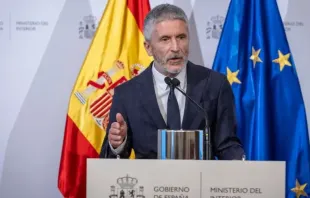 Minister of the Interior of Spain Fernando Grande-Marlaska. Credit: Spain Ministry of the Interior
