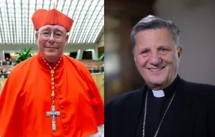 Cardinal Jean-Claude Hollerich, archbishop of Luxembourg (left) and Cardinal Mario Grech, secretary general of the Synod of Bishops Daniel Ibáñez/CNA
