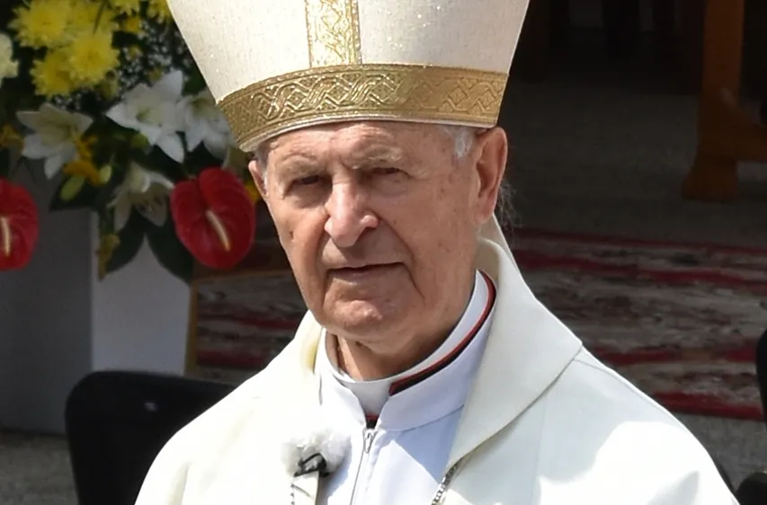 Cardinal Jozef Tomko in 2018 at a shrine on Mount Zvir, above the village of Litmanová, Slovakia.?w=200&h=150