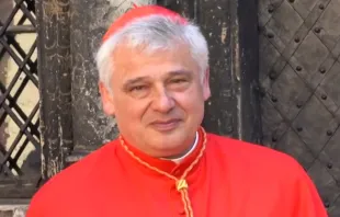 Papal almoner Cardinal Konrad Krajewski. lvivadm via Wikimedia (CC BY 3.0).
