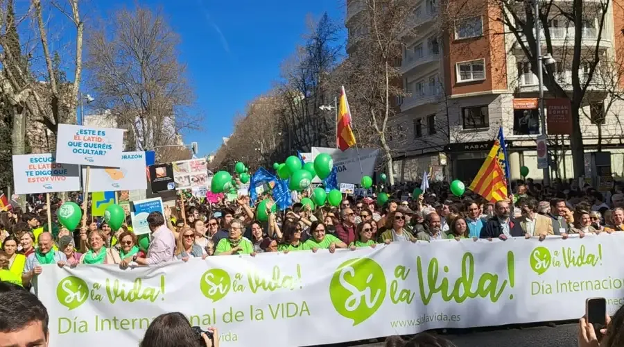Banner of the Yes to Life demonstration held in Madrid on March 12, 2023.?w=200&h=150