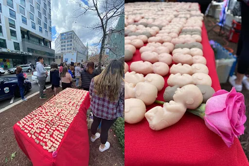 Models of the unborn representing the 115 total babies that PAAU says it obtained, outside the D.C. medical examiner’s office, April 8, 2022. Katie Yoder/CNA