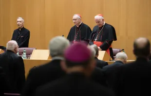 Facing the German bishops in Rome, Nov. 18, 2022: Cardinal Luis Ladaria Ferrer, SJ, prefect of the Dicastery of the Doctrine of the Faith; Cardinal Pietro Parolin, secretary of state; and Cardinal Marc Ouellet, PSS, prefect of the Dicastery of Bishops (from left). Vatican Media