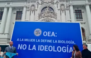 A poster against gender ideology exhibited in front of the Peruvian Congress, Oct. 3, 2022. Photo credit: Carlos Polo