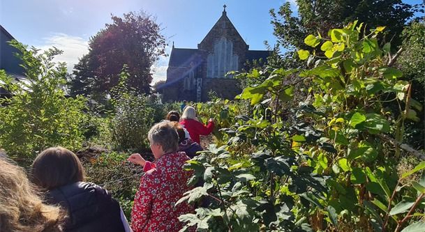 Ireland’s bishops decide to return 30% of Church grounds to nature by 2030