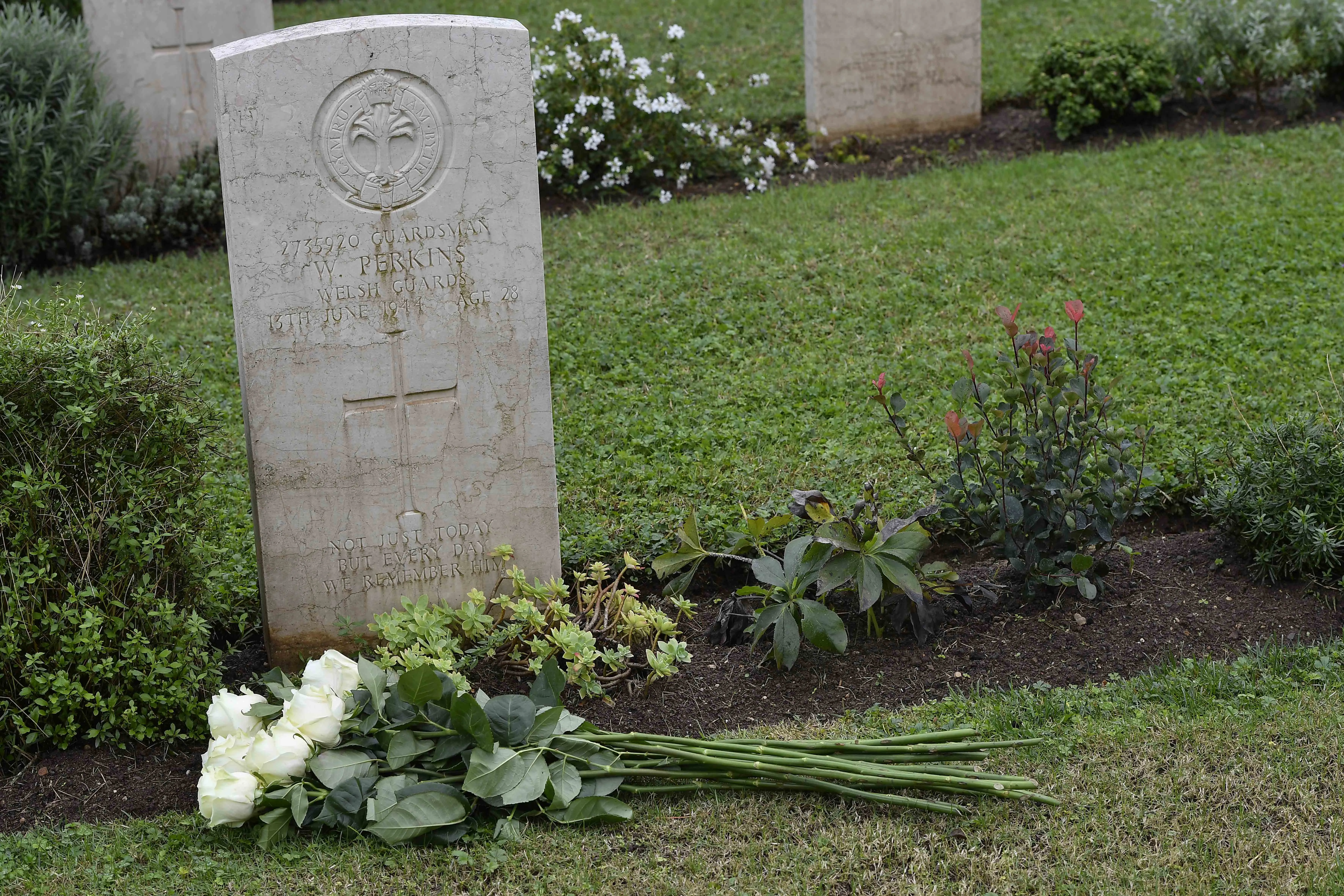 After Mass at the Rome War Cemetery on Nov. 2, 2023, Pope Francis placed white roses on some of the graves, including before the headstone of 28-year-old W. Perkins. Credit: Vatican Media