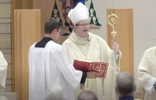 Episcopal Installation of Bishop Robert Barron as the Ninth Bishop of the Diocese of Winona-Rochester Co-Cathedral of St. John the Evangelist YouTube