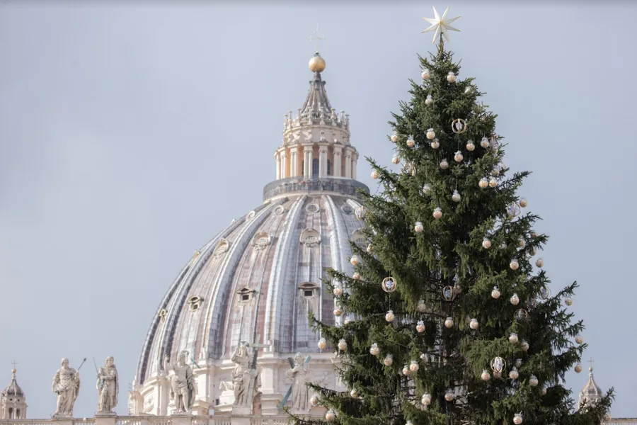 A Christmas tree in St. Peter's Square.?w=200&h=150