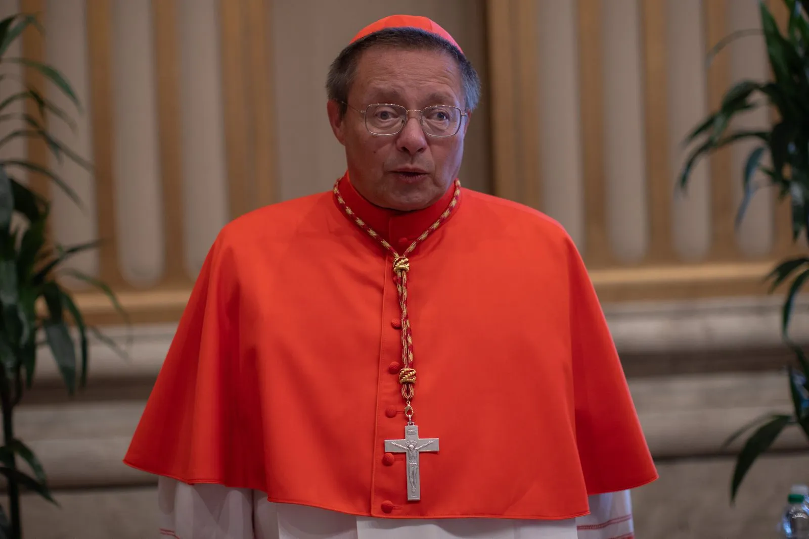 Cardinal Grzegorz Ryś, archbishop of Łódź, Poland. Credit: Daniel Ibáñez/EWTN News